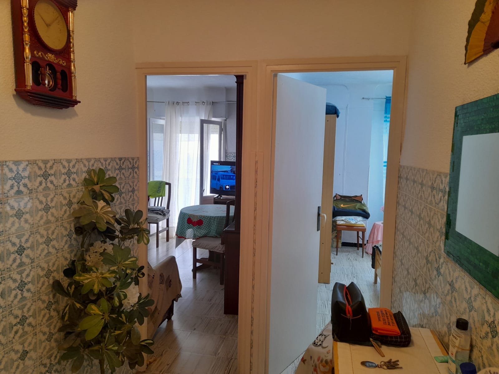 nuda propiedad felipe santa pola alicante (7)